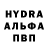 Канабис White Widow STYKS standofer